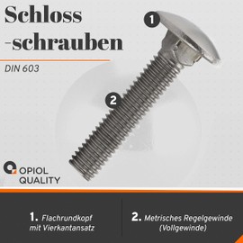 OPIOL QUALITY® Round-Head Screws DIN 603 M6 x 60 Made of Stainless Steel A2 V2A (Pack of 30) Carriage Bolts Round Head Screws Full Thread Square Neck Lock Screws
