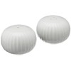 Hammershøi Salt and Pepper Shakers, White