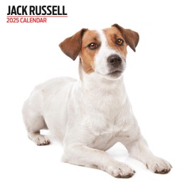Jack Russell 2025 Modern Calendar