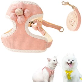 YILNGLU ArnéS Universal con Correa para Perros y Gatos, ArnéS para Gatos A Prueba de Escapes, Set De Floral Pechera Arnes Y Correa, ArnéS Ajustable para Perros PequeñOs, Perros Medianos (Rosa, S)