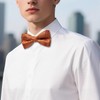 Barry.Wang Royal Blue Bow Ties for Men Pre-tied Bow Tie