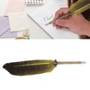 Feather Pen Set with 5 Interchangeable Nib Letter Opener Pen