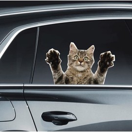 Aahs Engraving Animal Decals Car Stickers Funny Left Window Peel Off (Scared Cat)