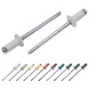 Marcopol Pack of 100 Painted Blind Rivets 3.2 x 8