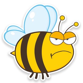 2 x Honey Bee Sticker Car Bike Laptop Helmet Roller Derby Kids Fun #9182 (10cm Wide x 10cm High)