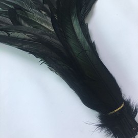 Shekyeon 12-14inch Rooster Tail Feather Use for Hats Costume Decoration (black) by Shekyeon