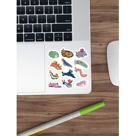 3 PCs Stickers Nudie Cuties, sea slug Sticker for Laptop, Phone, Cars, Vinyl Funny Stickers Decal for Laptops, Guitar, Fridge