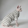 Thick, Warm,Winter Four-Legs Hairless Cat Sweater for Sphynx, Devon Rex,