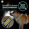 bluzelle Dog Harness for Small Dogs, Reflective Chest Harness with