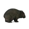 CollectA Wombat Animal Figure 88756