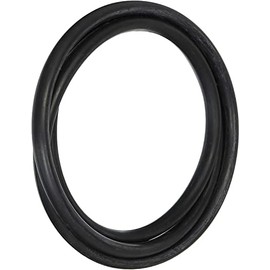 Buying Q Buying S Tank O-Ring Compatible with Hayward DEX2400K for Micro-Clear DE, Pro-Grid DE, Super Star Clear and SwimClear Filters