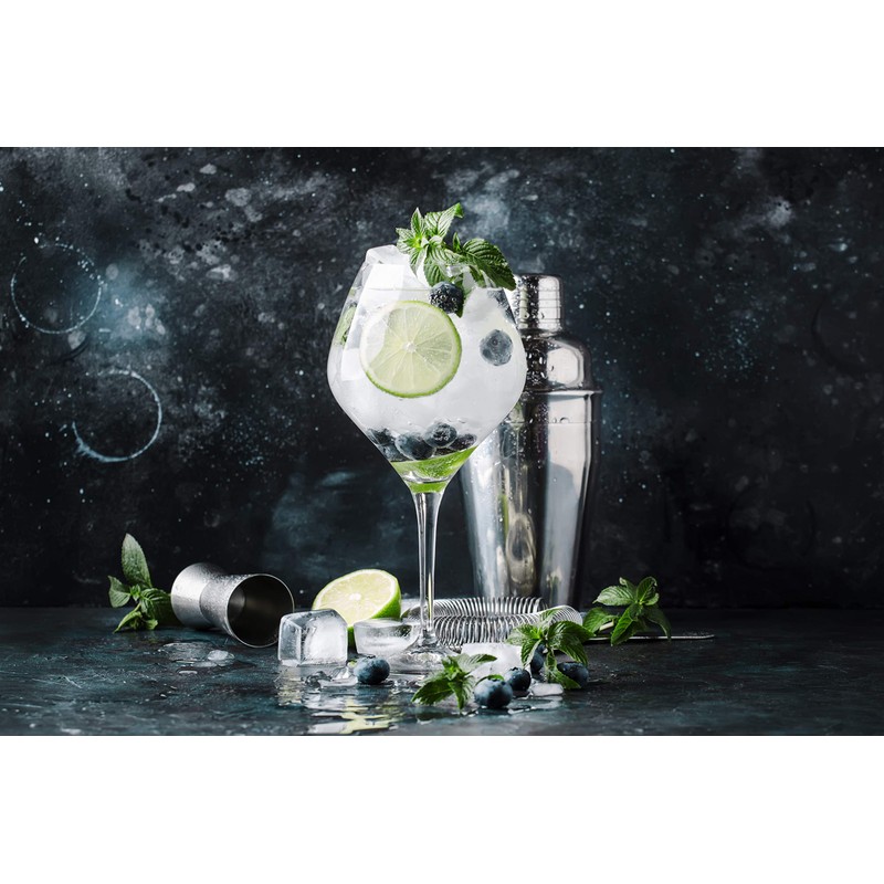 CocktailMeister Premium Cocktail Shaker Set, Professional Cocktail Mixing Set, Cocktail
