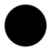 DARENYI 12 Inch Dia Acrylic Plexiglass Sheet, Black Plastic Circle
