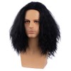 Long Black Male Wig Black Curly Wavy Wigs for Mens