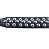 Dog Collar, Studs, Wild Spikes, 5 Holes, Adjustable, Small, Medium,