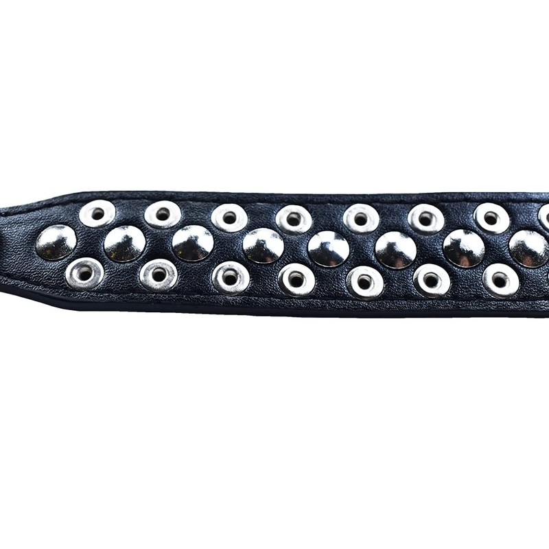 Dog Collar, Studs, Wild Spikes, 5 Holes, Adjustable, Small, Medium,
