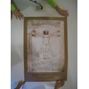Studio B The Vitruvian Man Poster