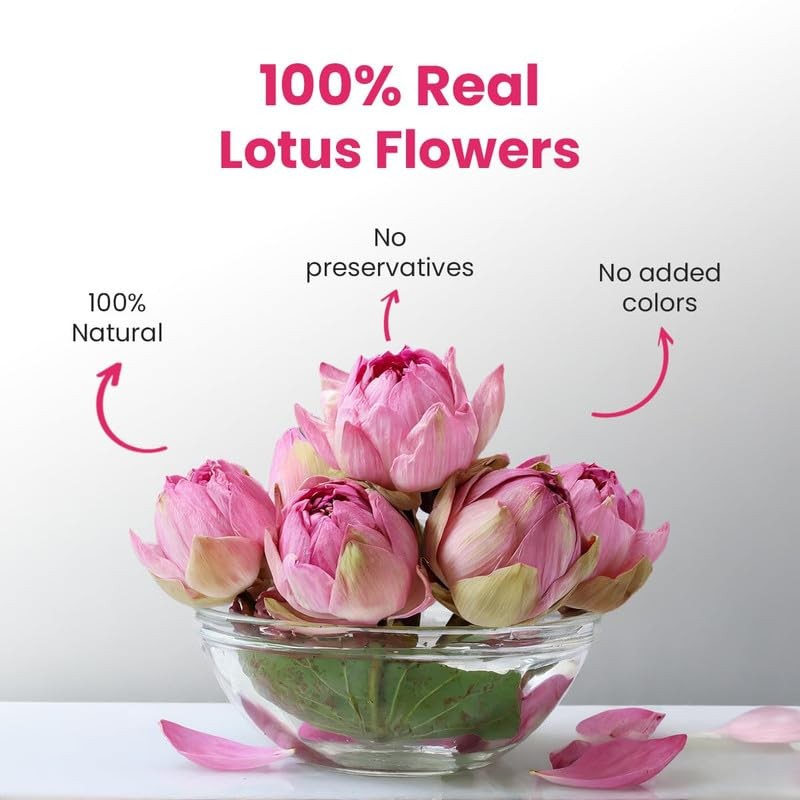 BLUE TEA - Pink Lotus Flower Tea - 1.40 Oz