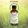 OTTO AURA OTTO AURA Lemongrass Essential Oil, 4 Fl Oz,