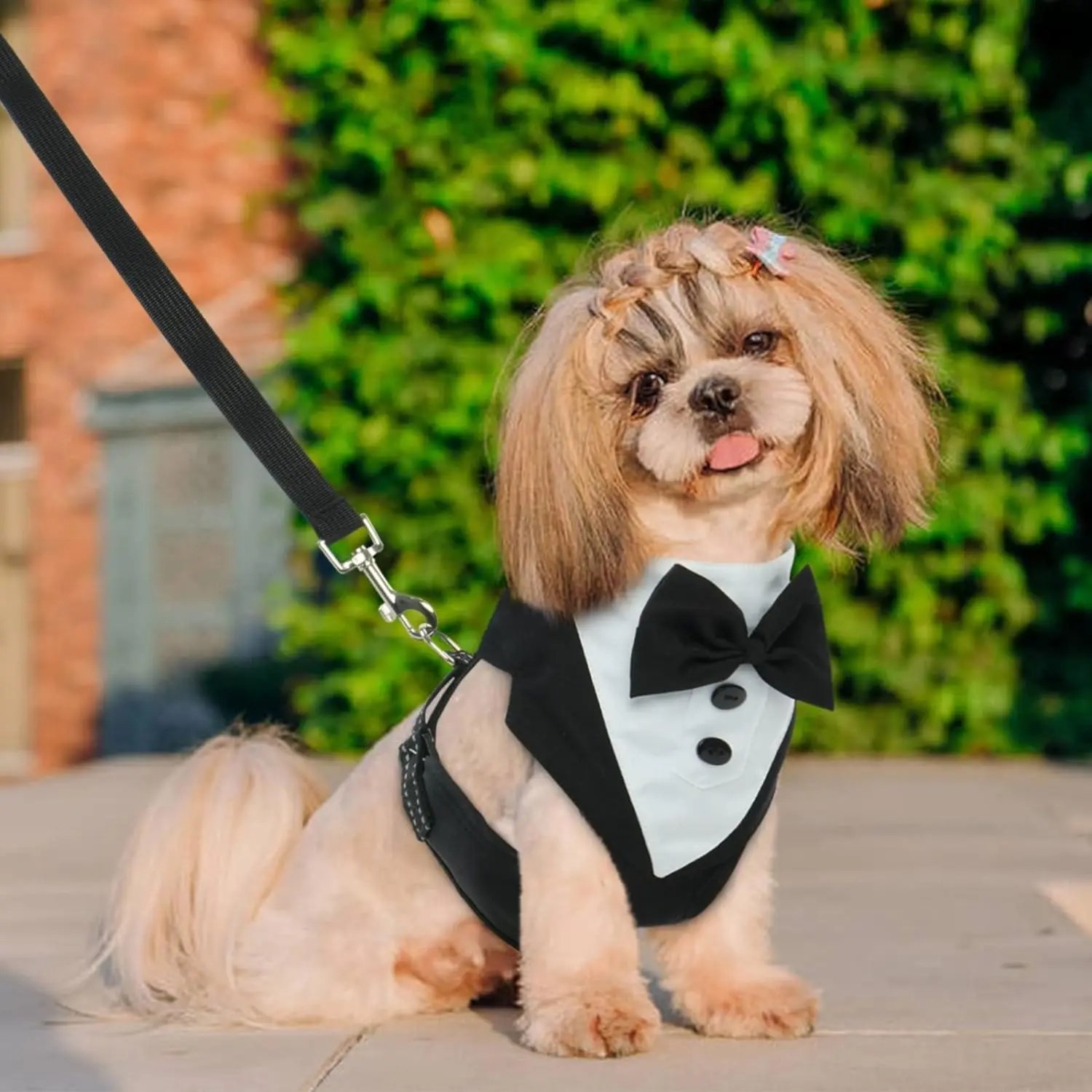 OrganiMax Dog Harness No Pull – Adjustable Bow Tie and Pet Vest, Wedding and Party Celebration