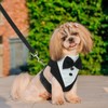 OrganiMax Dog Harness No Pull – Adjustable Bow Tie and