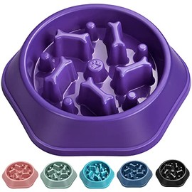 UPSKY Slow Feeder Dog Bowl Anti-Chocking Slower Feeding Dog Puzzle Bowl, Interactive Bloat Stop Dog Food Bowl Dishes Non-Slide Dog Lick Treat Bowl for Small Medium Dogs (Purple)
