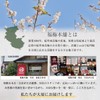 Salt content 0% [Plum extract (plum meat extract) soft capsule]