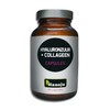 Hanoju 90 Capsules Hyaluronic Acid 100 mg + Collagen 250
