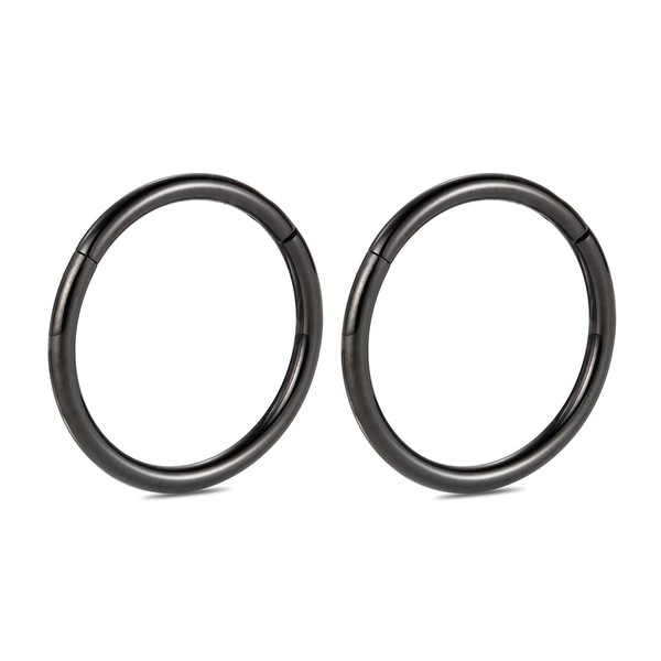 2Pcs 8mm Titanium 16G Hinged Segment Earrings Cartilage Helix Lip