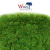 WWScenics | 2 mm Summer Static Grass Fibres | 1000