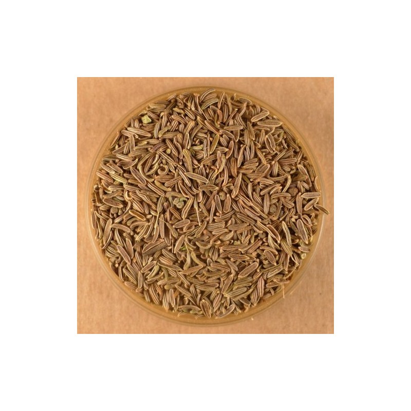 Cumin Seeds, Whole Black - 5 lbs Bulk