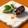 Hotel Collection Luxury Scent for Diffuser Oils Set Inspired by