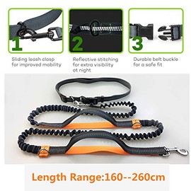 PUBAMALL Correa de Perro para Correr sin Manos - Correa de Puenting Duradera, Costuras Reflectantes - Correa de Cintura Ajustable Que Absorbe los choques, para Correr, Trotar, Caminar (Naranja)