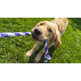 Dog Knotted Rope Toys, Pack of 3, Colourful Twisted Chew and Tug Toys for Dental Health, Durable Braided Ropes, Dental Cleaning, for All Breeds, Puppies, Small, Medium or Large Dogs Pack of 3 dog toys