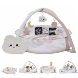 Aila+Aiden 6-in-1 XL Play Mat & Play Gym, Baby Gym, Baby Activity Gym, Sensory Exploration and Motor Skill Development Toys (Blush)