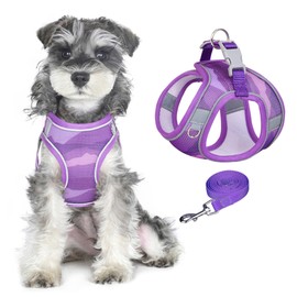 Pawsailor Step-In Dog Harness for Small Dogs, No Pull, Adjustable, Soft Mesh, Breathable Chest Harness, Lightweight, Comfortable for Easy Walking, Purple, S