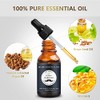 Kit Cuidado Barba Hombres Novtwenty Piezas Lavado Aceite Acondicionador Cepillo
