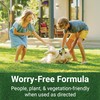 American Hydro Systems GrassSoGreen 19-0-0 Liquid Fertilizer Maintenance Formula, Grass