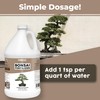 Bonsai Fertilizer – Liquid Plant Food for Healthy Growth, Vibrant