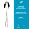 GRÄWE Stralsund Coffee Spoons, Set of 12, Small Stainless Steel