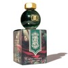 Ferris Wheel Press Fountain Pen Ink | FerriTales Collection |