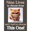 Ginger Cat Kitten funny flexible fridge magnet gift