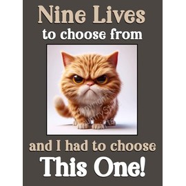 Ginger Cat Kitten funny flexible fridge magnet gift