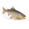 Neko Kamiyama, Yamame, River Fish, Stream, Fish Figure, Miniature Figurine,