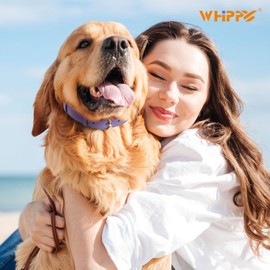 WHIPPY Soft Padded Leather Dog Collar for Small Medium Large Dogs Heavy Duty Dog Collar with Adjustable Rust-Proof Metal Hardware,Purple