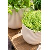 Capi Europe - Flower Pot Ball Groove 'Made with' Metallic