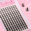 Himirell Clear Lash Clusters Manga Eyelash Clusters Anime Cluster Eyelash