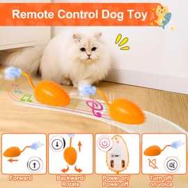 Mity rain Cat Interactive Toys for Indoor Cats, Remote Control Toy with Feather Tails, Cat Automatic Toy for Cats Exercise Catching and Chasing, Moving Electric Pet Toy with USB Charger