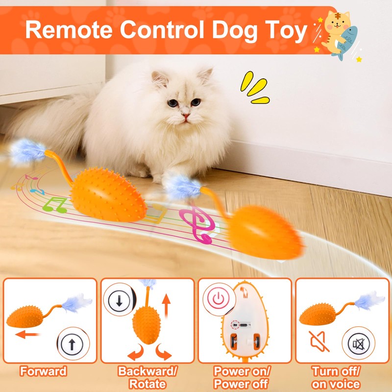 Mity rain Cat Interactive Toys for Indoor Cats, Remote Control