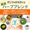 爽快スルーハーブティー レモンティー ティーバック30包 お茶 11種の厳選ハーブ